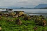 Tofino Harbour 10