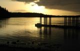 tofino harbour sunset1.jpg