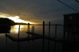 tofino harbour sunset2.jpg