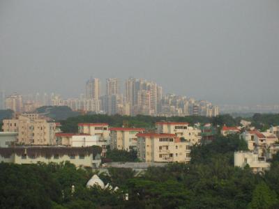 IMG_3334.jpg
