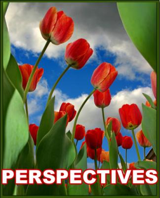ASSIGNMENT: Perspectives