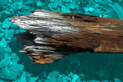 Flotsam Log, Faux Color