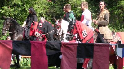 AllKnights & Horses