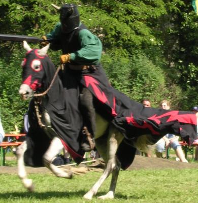 Jousting Charge