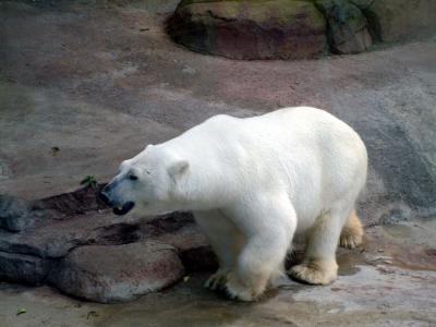 Moscow Zoo