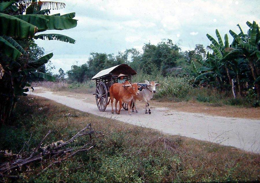 Transport