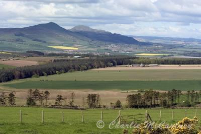 Lomonds Hills, Fife - DSC_3404.jpg