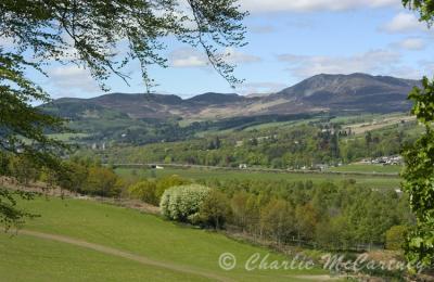 Pitlochry - DSC_3669.jpg