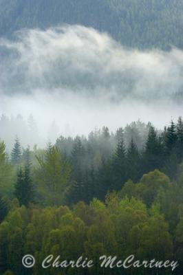 A Grey Day, Pitlochry - DSC_3296.jpg
