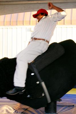 Bull Rider