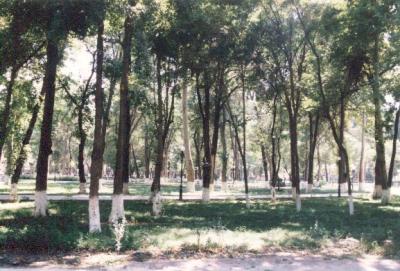 Alfargony park, Fergana