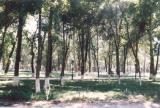 Alfargony park, Fergana