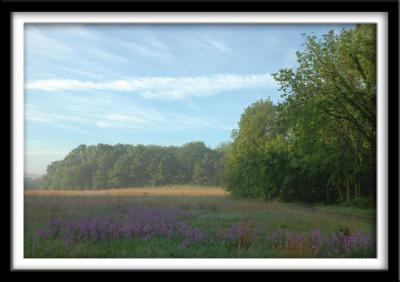 u26/chocolatte/medium/43726902.Meadow_resize.jpg