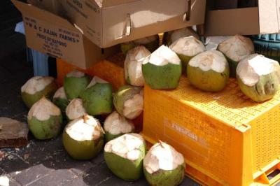 Coconuts