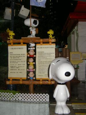 Welcome to Snoopy's World