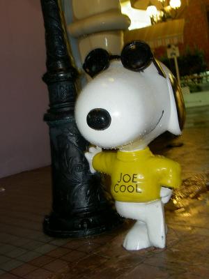 Joe Cool - 1