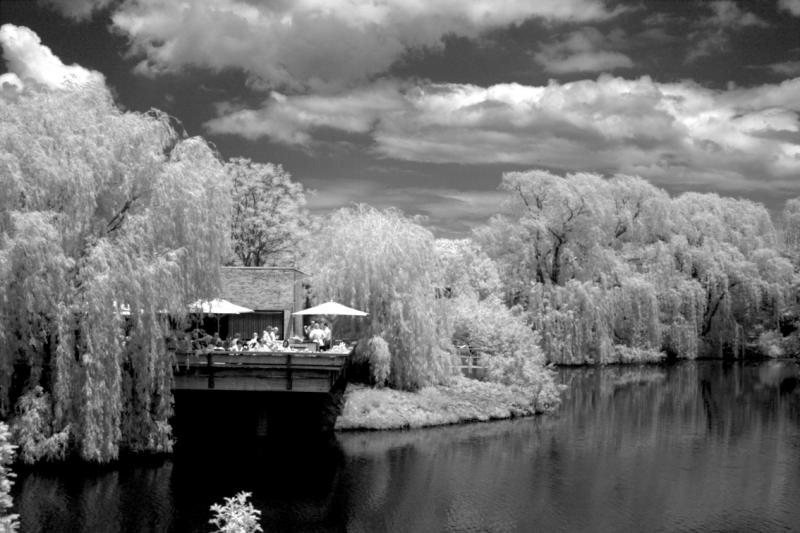 IMG08188ir.jpg