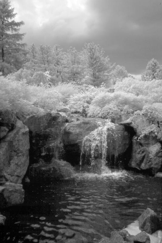 IMG08217ir.jpg