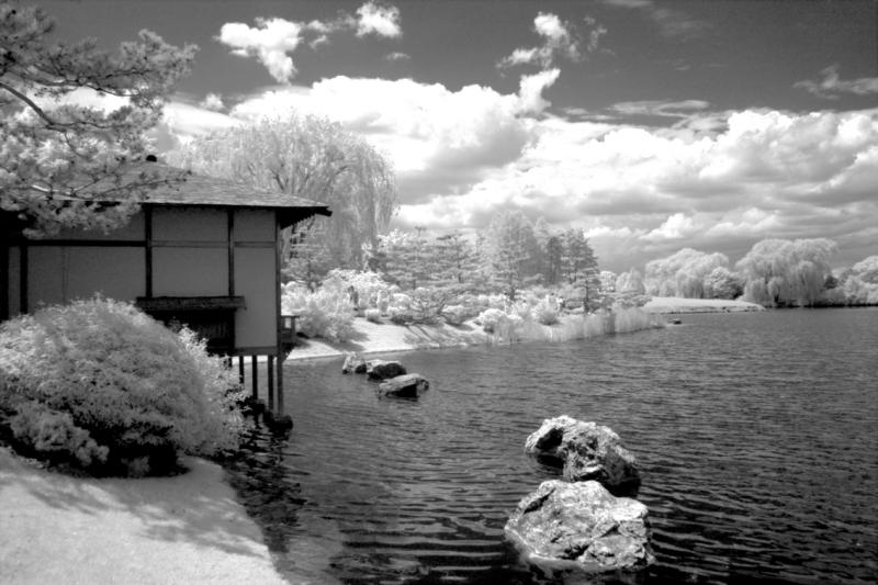 IMG08248ir.jpg