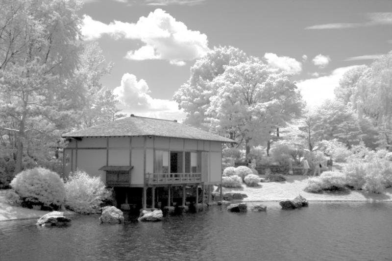 IMG08249ir.jpg