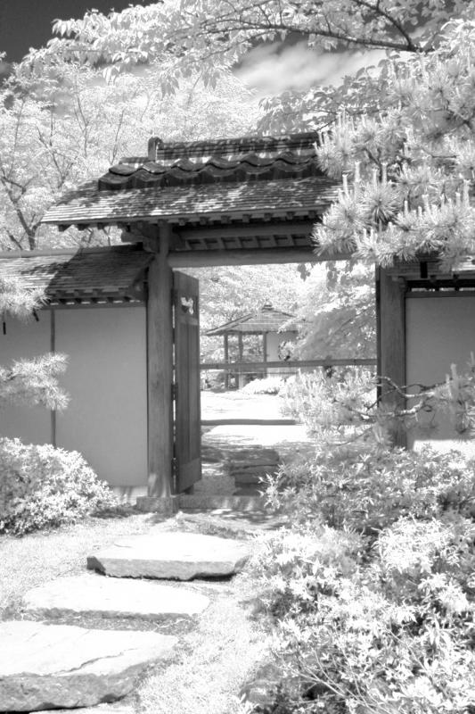 IMG08274ir.jpg