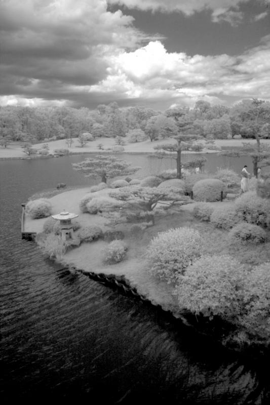 IMG08278ir.jpg