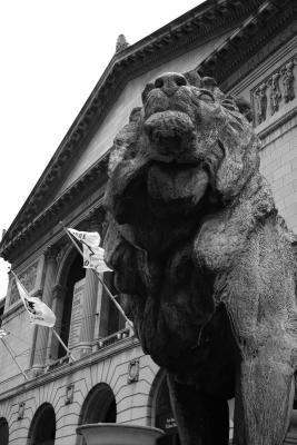 Lion @ the Art Institute