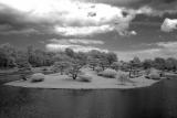 IMG08210ir.jpg