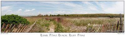 28May05alt Bushy Point Beach, Bluff Point