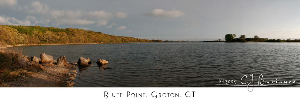 Bluff Point