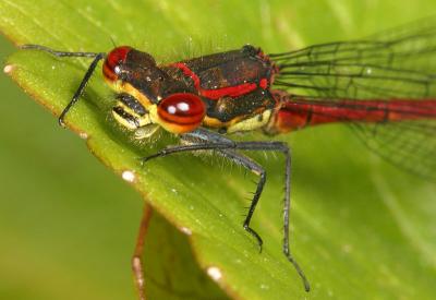 CRW_3213_RJ.jpg