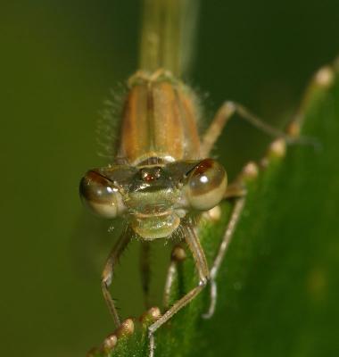 CRW_3289_RJ.jpg