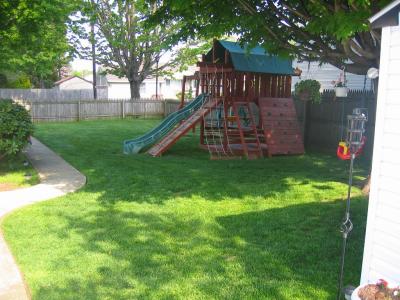 u26/cleanmaxx_brian/medium/43525538.shedyard.jpg
