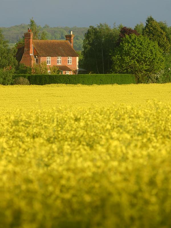 May 9 2005: <br> Hazelwood Cottage