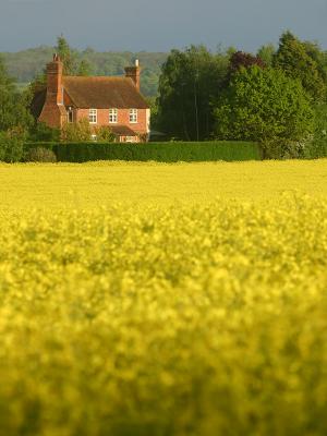 May 9 2005: Hazelwood Cottage