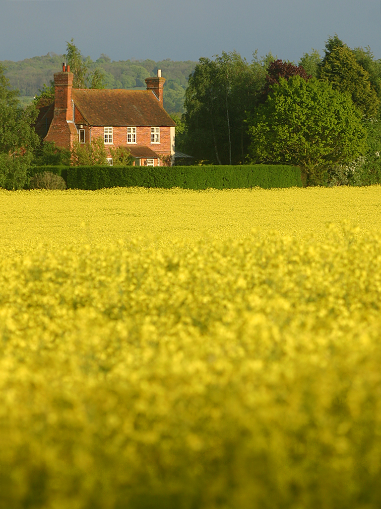 May 9 2005: <br> Hazelwood Cottage