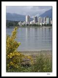 Vancouver skyline from Kitsilano