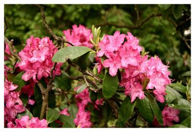 IMG_4572_G.JPG