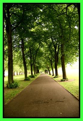 IMG_4588_G.JPG