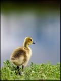 Hello World!