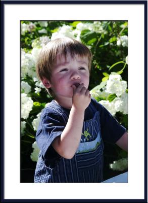 Tris eats grapes