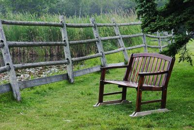 Sit quietly by the lily pond where...