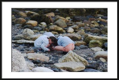 ...searching for sea creatures among the beach rocks.