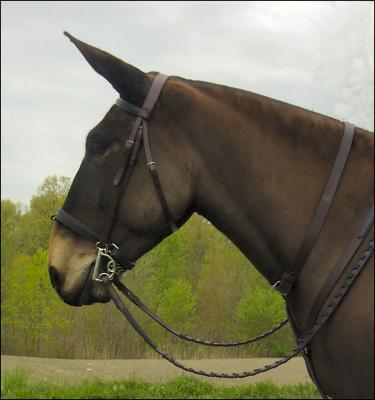 the new Bridles by Design [800 709-0243] bridle, reins, breastcollar and neck strap