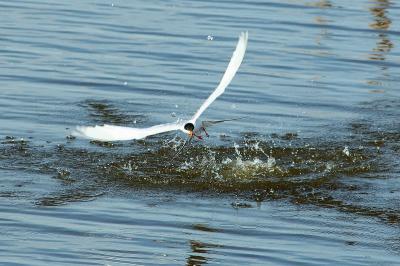 DSC_5410.jpg