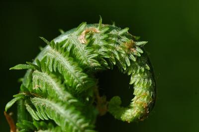 DSC_5659.jpg