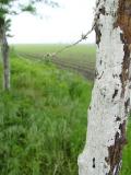 DSC00935.JPG