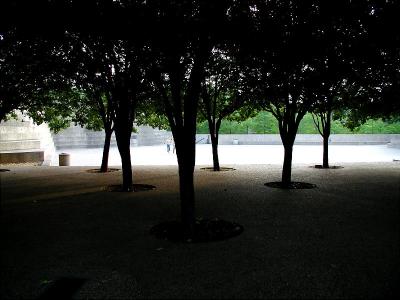 Water Gardens Fort Worth