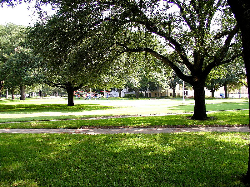 Off University Drive