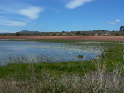 Campillos Lagoones - Lagunas de Campillos